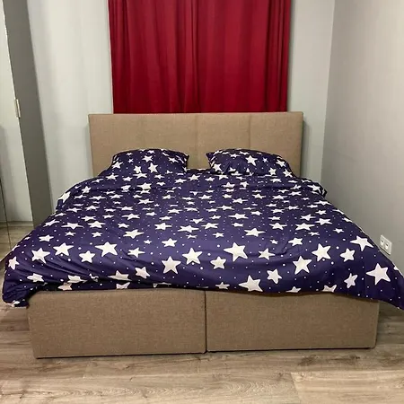 A Large Luxurious Private Room, In A Shared Apartment-close To The Centre ホームステイ *