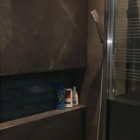 A Large Luxurious Private Room, In A Shared Apartment-close To The Centre ホームステイ *