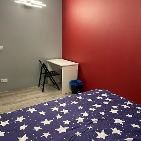 A Large Luxurious Private Room, In A Shared Apartment-close To The Centre Homestay *